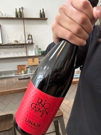 Linaje de Pago Rojo Carmin Tinto Tenerife 2021