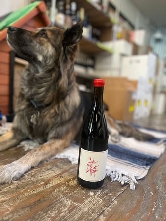 Arnot-Roberts Que Syrah Vineyard Syrah Sonoma Coast 2020