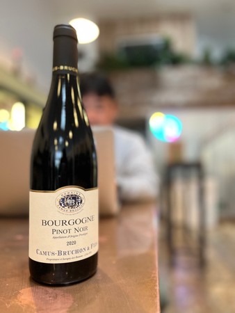 Camus-Bruchon Bourgogne Rouge 2020