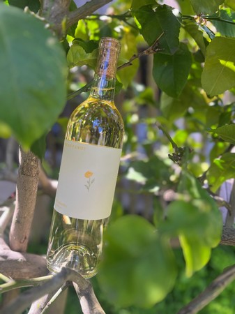 Coteau Pavot Albarino Lodi 2022