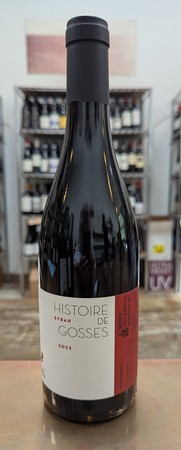Hugo & Pauline Villa Syrah Histoire de Gosses 2023