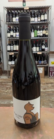 Karim Vionnet Beaujolais Villages 2021