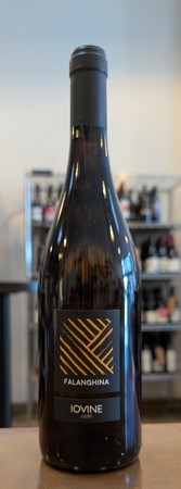 Iovine Falanghina 2023