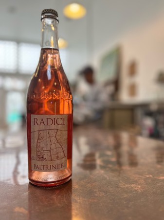 Paltrinieri Radice Lambrusco di Sorbara 2021