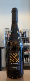 Iovine Falanghina 2023